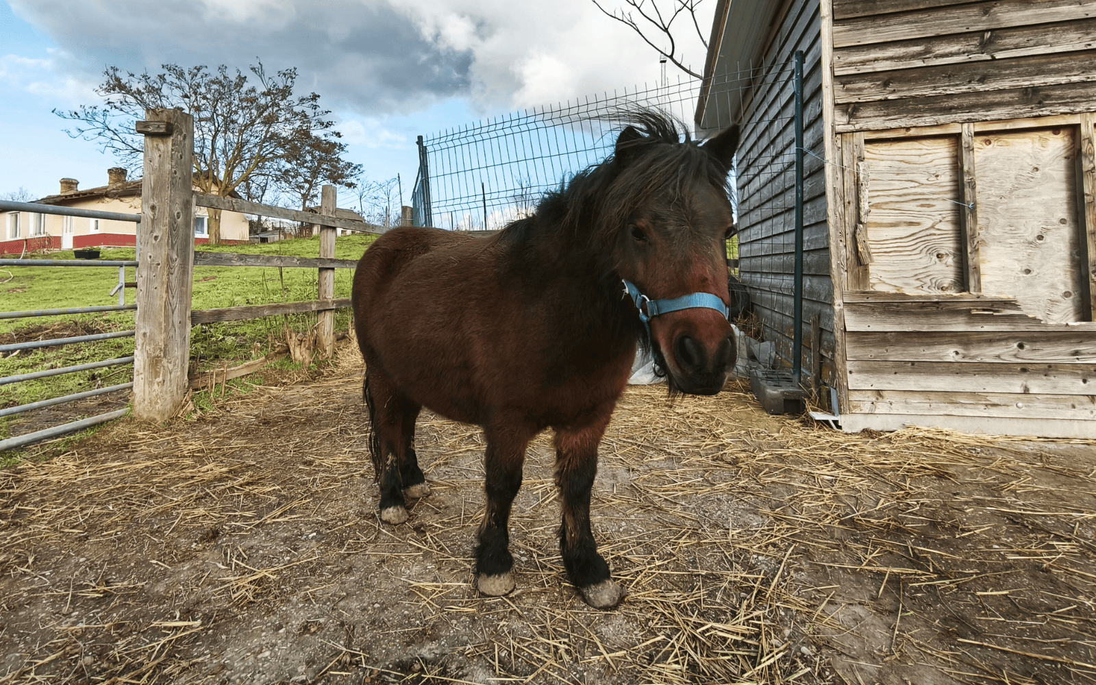 Immagine 1